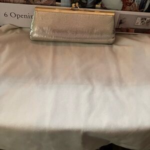 Silver/Gold Handheld clutch purse